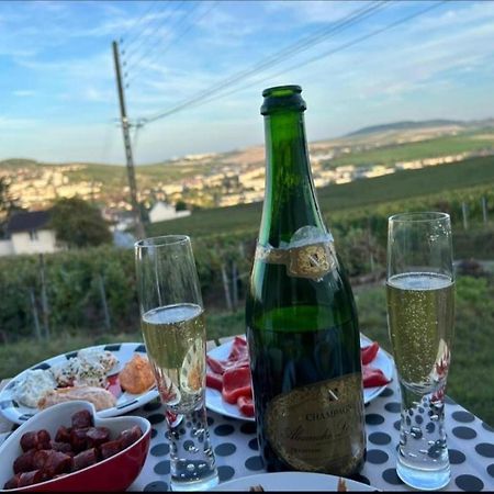 Dans Les Vignes D'Epernay 빌라 외부 사진