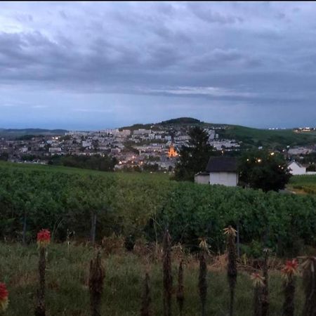 Dans Les Vignes D'Epernay 빌라 외부 사진