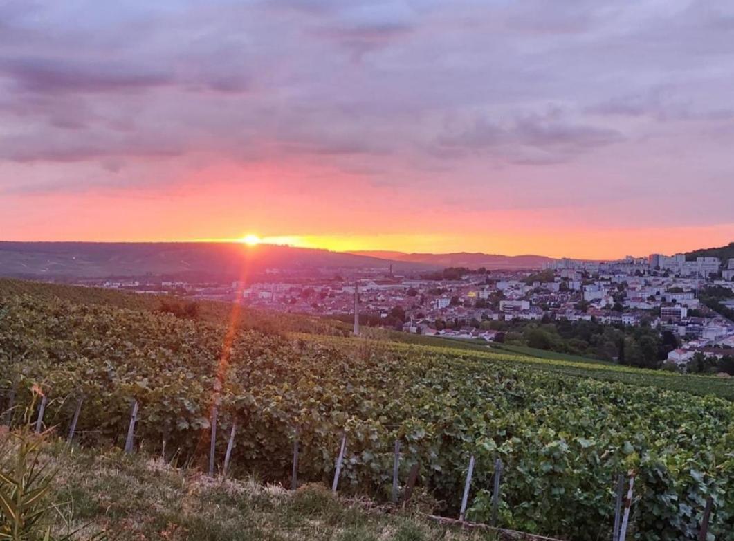 Dans Les Vignes D'Epernay 빌라 외부 사진