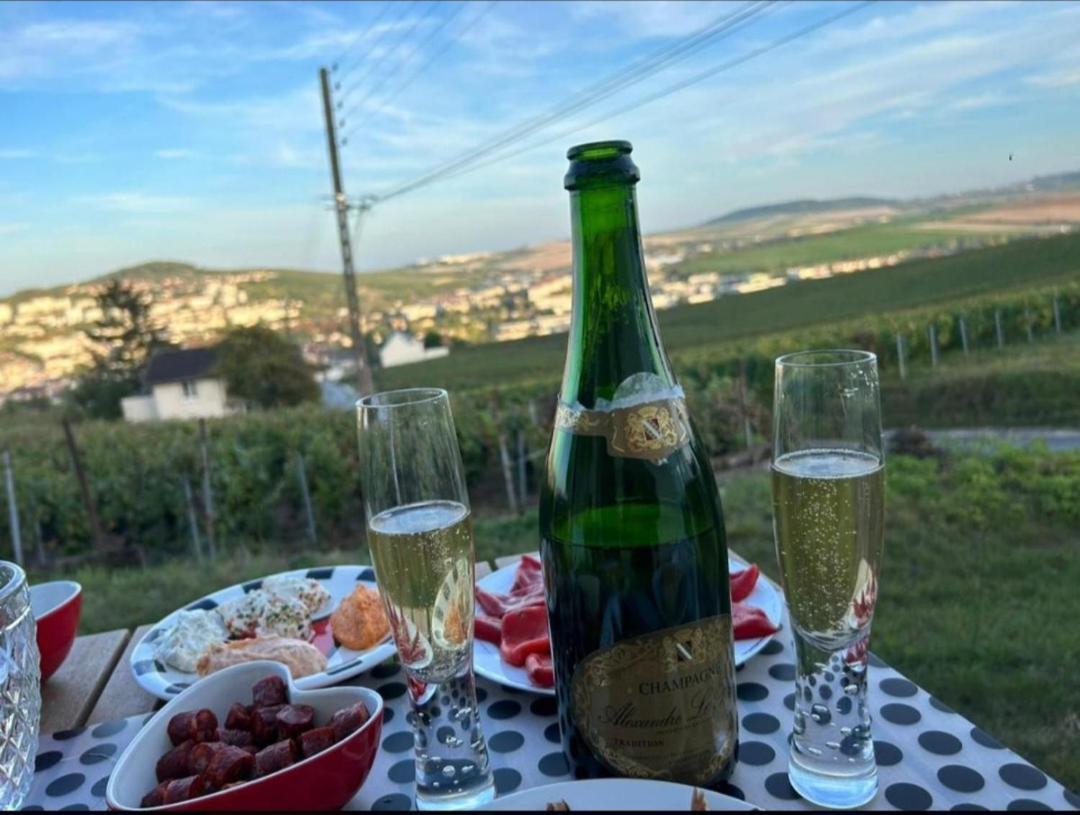 Dans Les Vignes D'Epernay 빌라 외부 사진