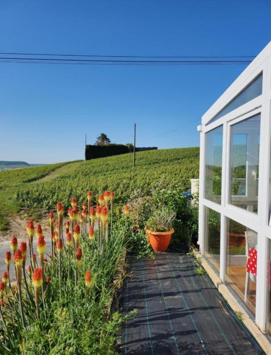 Dans Les Vignes D'Epernay 빌라 외부 사진