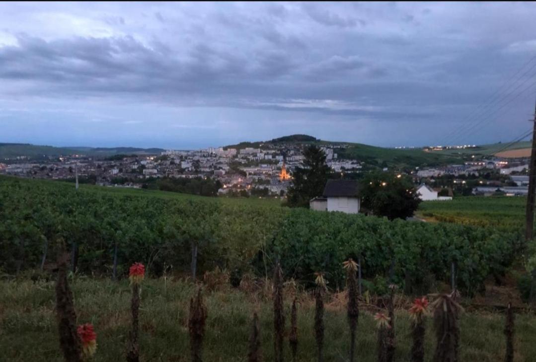 Dans Les Vignes D'Epernay 빌라 외부 사진